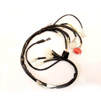 Gas Gas TX125 Randonne ,Wiring Loom ,(Leonelli Part No PE40052L00) Genuine NOS