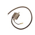 Gas Gas TXT Boy ,Electrics Coil, Genuine NOS