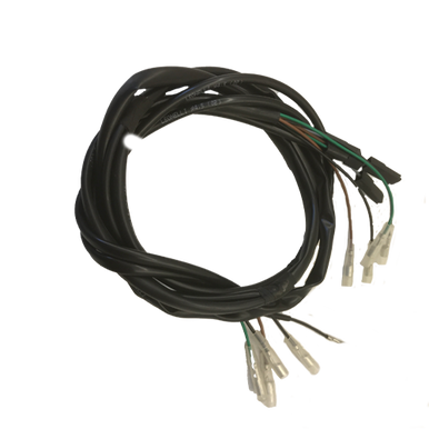 Gas Gas EC250 4T 2010 ,Wiring Loom, Genuine NOS