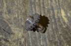 Honda C90 CD90 CL90 CM91 CT90 Oil Pump Gear A NOS
