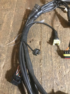 Gas Gas EC FS 450 2004 ,Wiring Loom, Genuine NOS Part Number MFS450480104