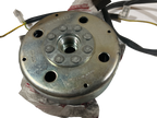Gas Gas Boy, Stator and Flywheel, Genuine NOS Leonelli Part 016.A10
