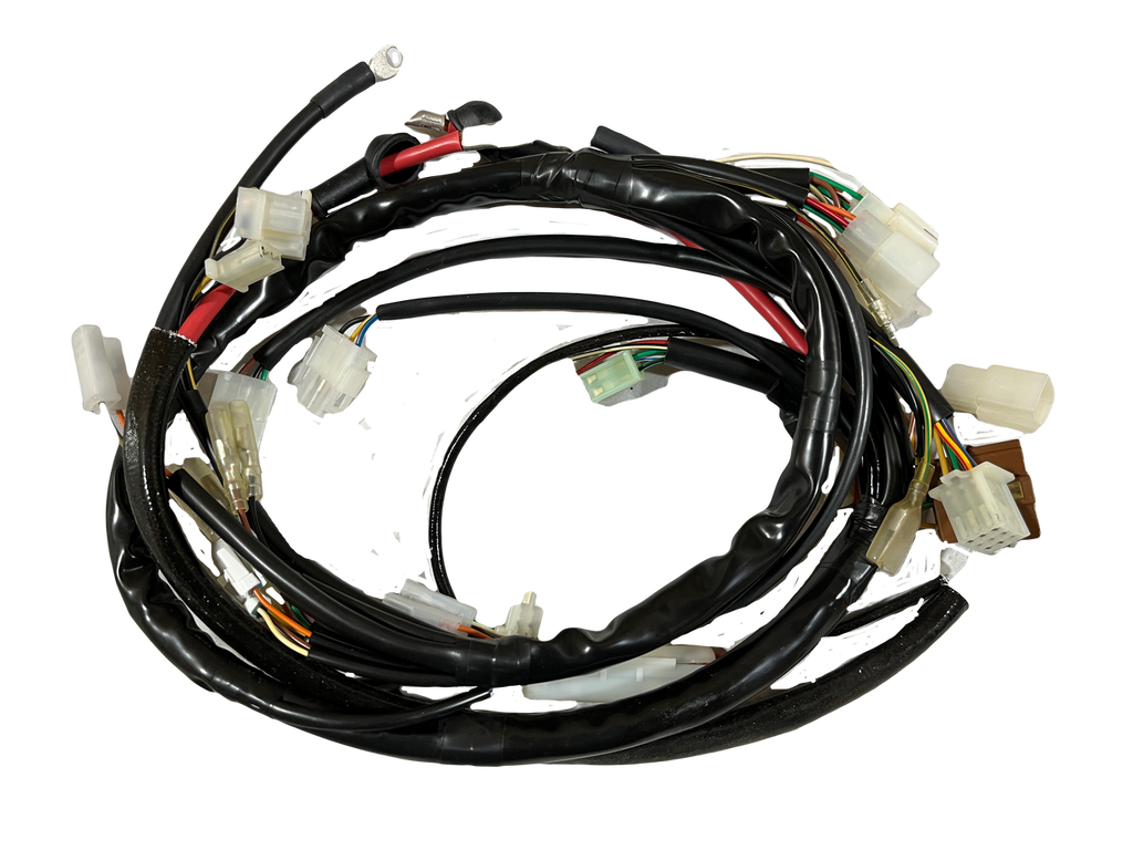 Gas Gas Halley 2T 125 2009 ,Wiring Loom, Genuine NOS EH100001209