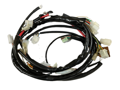 Gas Gas Halley 2T 125 2009 ,Wiring Loom, Genuine NOS EH100001209