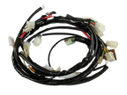 Gas Gas Halley 2T 125 2009 ,Wiring Loom, Genuine NOS EH100001209