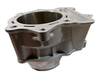 Gas Gas FSE/FSR/HP Wild/Pampera EC ,450cc Cylinder, NOS MFS450516022