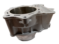 Gas Gas FSE/FSR/HP Wild/Pampera EC ,450cc Cylinder, NOS MFS450516022