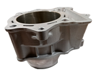 Gas Gas FSE/FSR/HP Wild/Pampera EC ,450cc Cylinder, NOS MFS450516022
