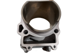 Gas Gas FSE/FSR/HP Wild/Pampera EC ,450cc Cylinder, NOS MFS450516022