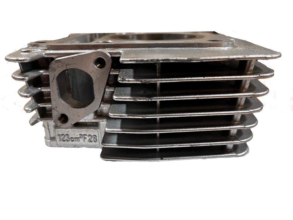 Gas Gas TX125 Randonne 2011-2014 ,Barrel and Piston, NOS F28-201000-0