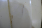 Alsport Steen,Ossa Fuel Tank,Used and in Good Condition