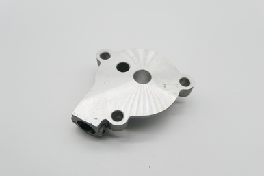 Gas Gas Cami AJP PR5 ,Oil Pump Cover, Genuine NOS 14108ME300100