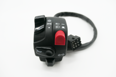 Gas Gas FSE FSR Pampera ,Left Side Light Switch, Genuine NOS BFS450534001
