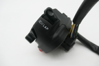 Gas Gas HP Wild FSE Left Side ,Switch Assembly, NOS BFS400134001