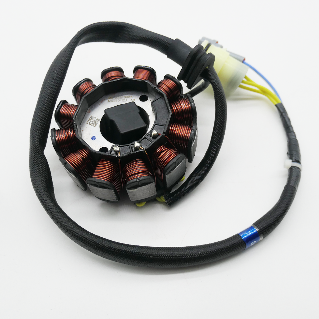 Gas Gas-AJP Stator Assy for Cami and PR5  Models