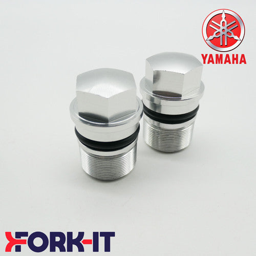 Yamaha DT Fork Top Nut