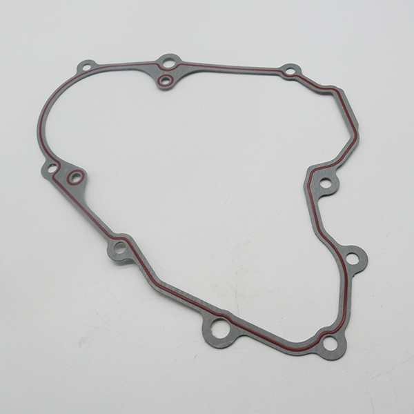 Gas Gas Cami, AJP PR5, Left Crankcase Gasket