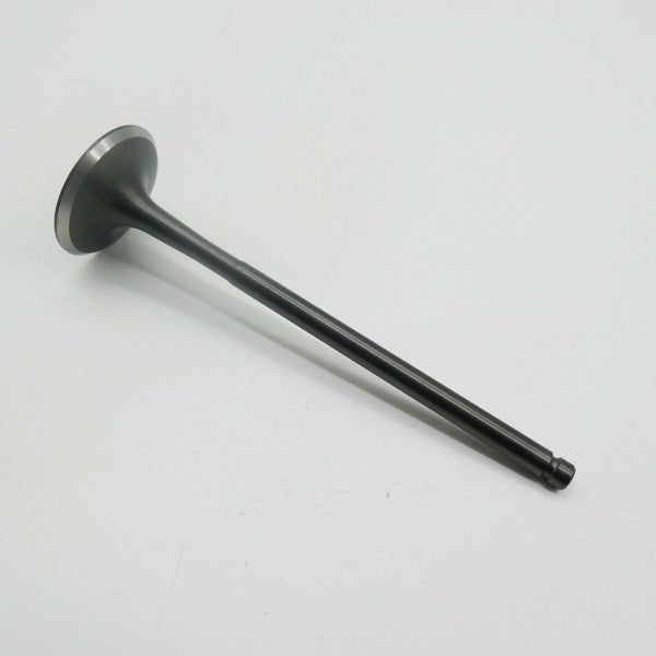 Gas Gas Cami AJP PR5 ,Intake Valve Pair, 15701ME300000