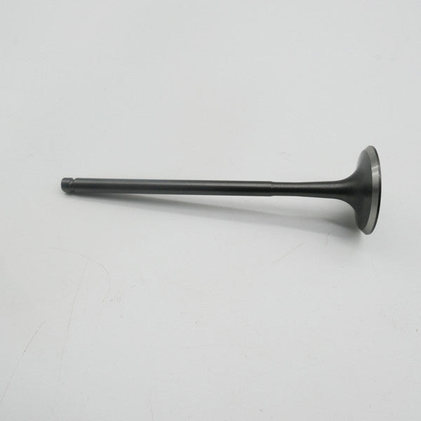 Gas Gas Cami AJP PR5 ,Intake Valve Pair, 15701ME300000