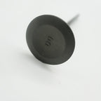 Gas Gas Cami AJP PR5 ,Intake Valve Pair, 15701ME300000