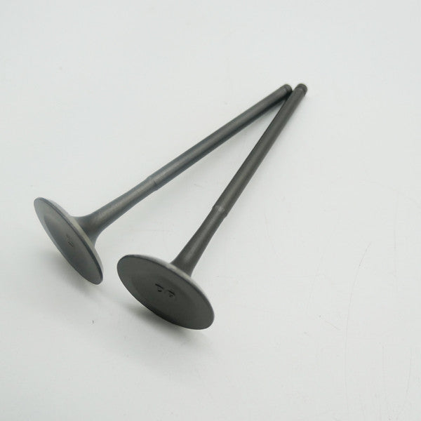 Gas Gas Cami AJP PR5 ,Intake Valve Pair, 15701ME300000