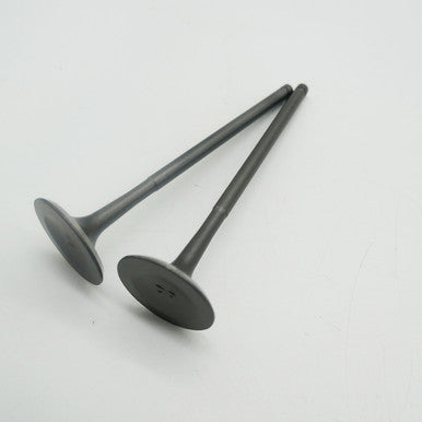 Gas Gas Cami AJP PR5 ,Intake Valve Pair, 15701ME300000