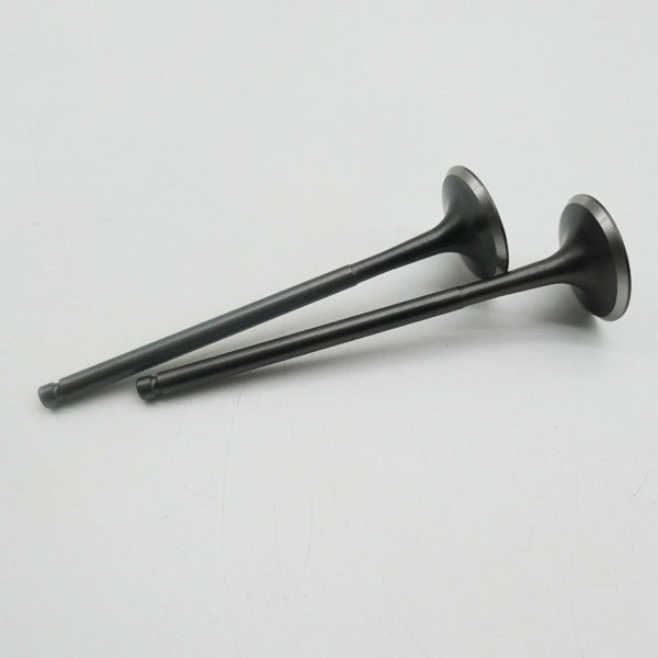 Gas Gas Cami AJP PR5 ,Intake Valve Pair, 15701ME300000