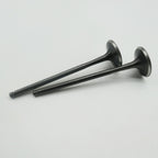 Gas Gas Cami AJP PR5 ,Intake Valve Pair, 15701ME300000
