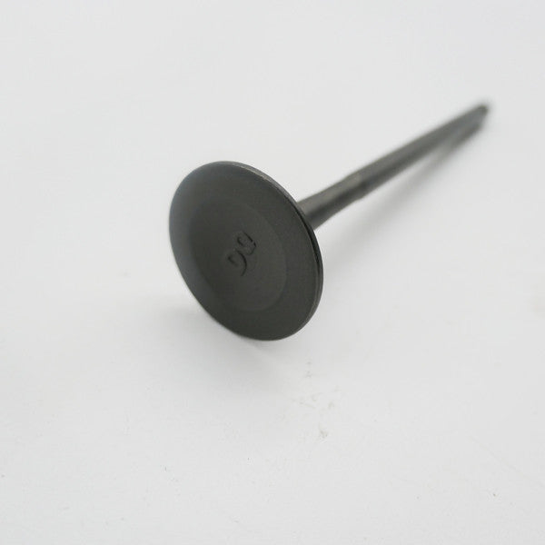 Gas Gas Cami AJP PR5 ,Exhaust Valve Pair, 15702ME300000