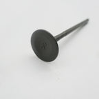 Gas Gas Cami AJP PR5 ,Exhaust Valve Pair, 15702ME300000