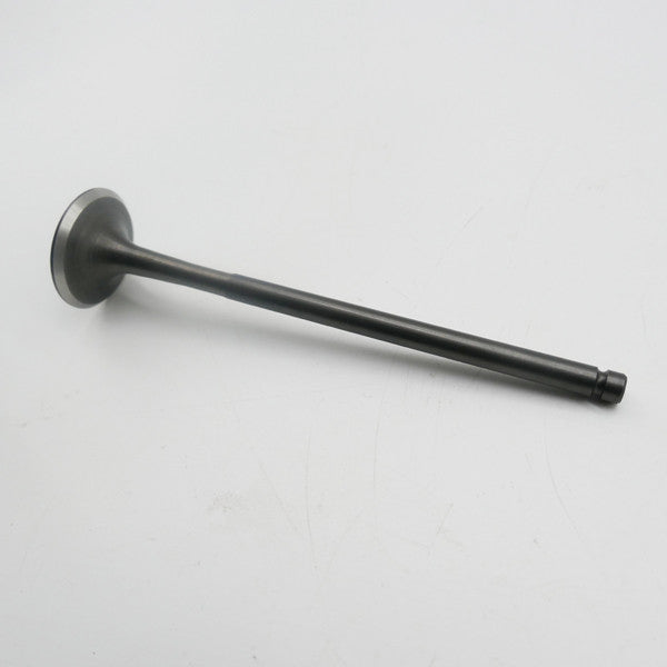Gas Gas Cami AJP PR5 ,Exhaust Valve Pair, 15702ME300000