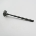 Gas Gas Cami AJP PR5 ,Exhaust Valve Pair, 15702ME300000