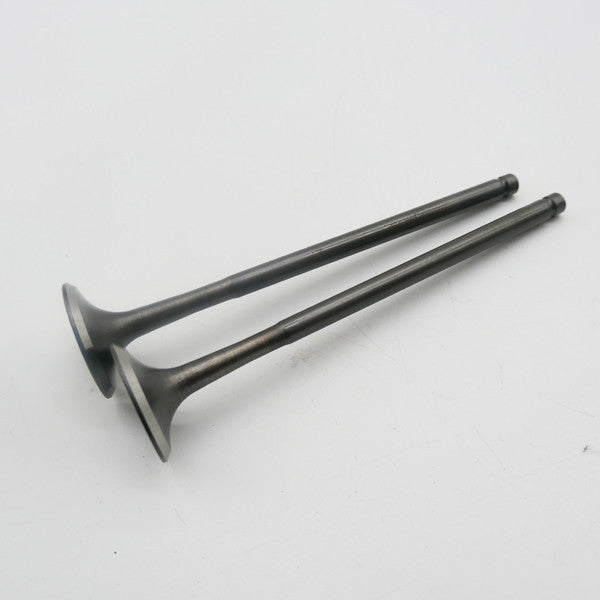 Gas Gas Cami AJP PR5 Exhaust Valve