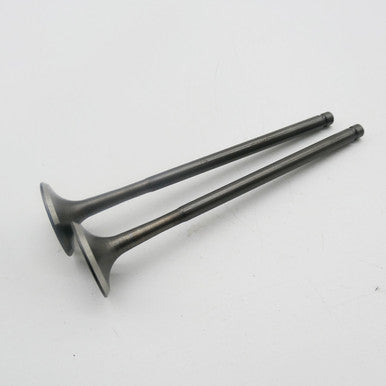 Gas Gas Cami AJP PR5 ,Exhaust Valve Pair, 15702ME300000
