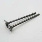 Gas Gas Cami AJP PR5 ,Exhaust Valve Pair, 15702ME300000
