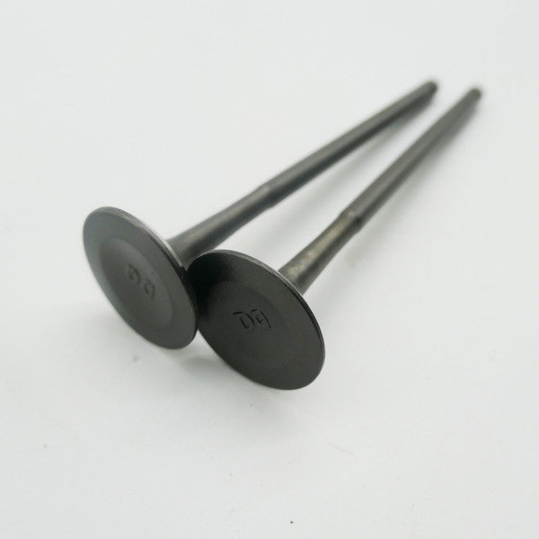 Gas Gas Cami AJP PR5 ,Exhaust Valve Pair, 15702ME300000