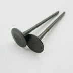 Gas Gas Cami AJP PR5 ,Exhaust Valve Pair, 15702ME300000