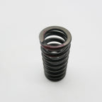 Gas Gas Cami AJP PR5 ,Outer Valve Spring, 15703ME300000