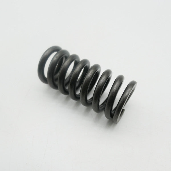 Gas Gas Cami AJP PR5 ,Outer Valve Spring, 15703ME300000