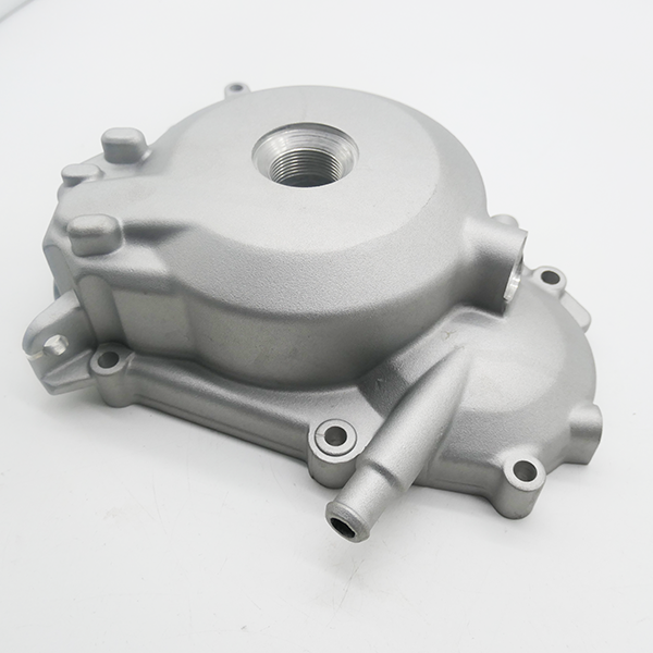 Gas Gas, AJP, Zongshen NC250, Left Crankcase Cover, 12301ME3000210W