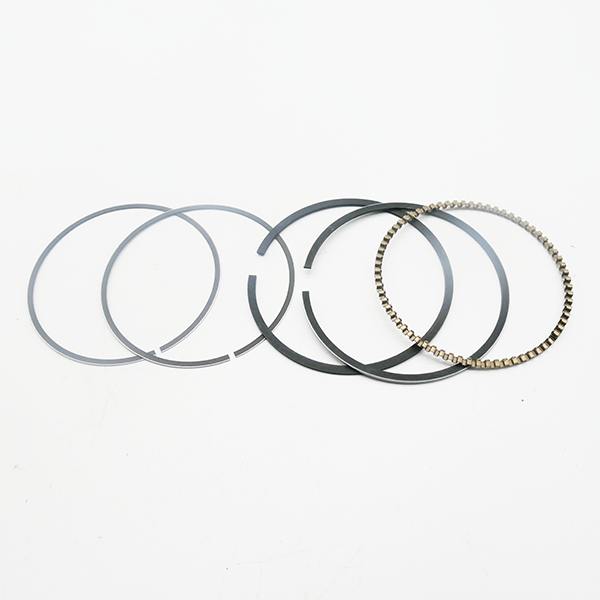 ATV250 ,Piston Ring Set,Part No 12200010-000FG-000000
