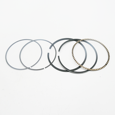 ATV250 ,Piston Ring Set,Part No 12200010-000FG-000000