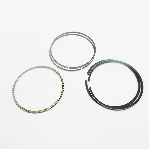 ATV250 ,Piston Ring Set,Part No 12200010-000FG-000000