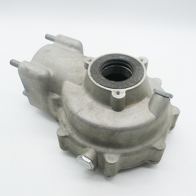 ATV250 ,Rear Drive Casing, Gas Gas Bashan Loncin 204505-0030010