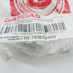 Gas Gas EC ,EGR Valve, NOS BE785652509