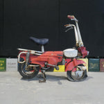 Moto Grazziela Fold Up Bike
