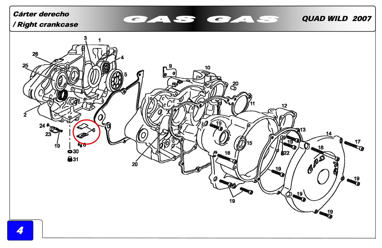 Gas Gas HP Wild FSE FSR EC Pampera 400/450 ,Reed Kit, MFS400110120
