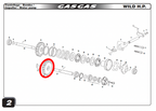 Gas Gas EC HP Wild  20T ,Water Pump Pinion, Genuine NOS ME25610005