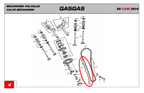Gas Gas Cami AJP PR5, Cam Chain Guide, 1553AME300000