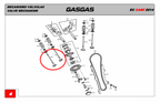 Gas Gas Cami AJP PR5 ,Exhaust Valve Pair, 15702ME300000